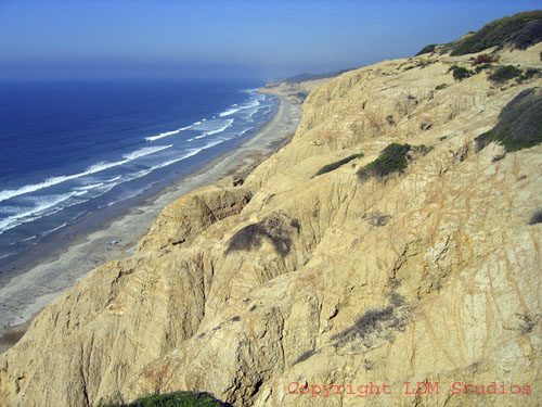 blacks_beach