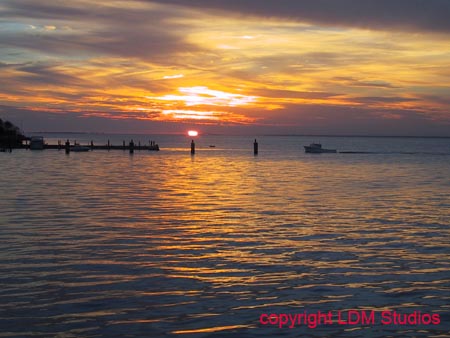 fire_island3