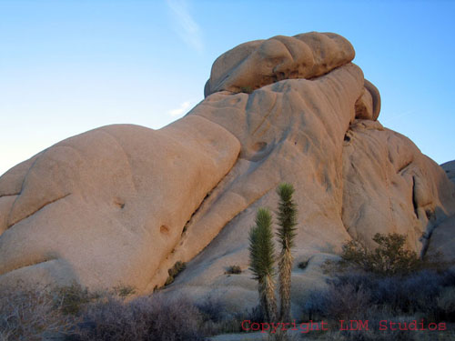 sand_rock