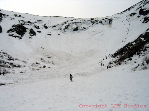 tuckermans